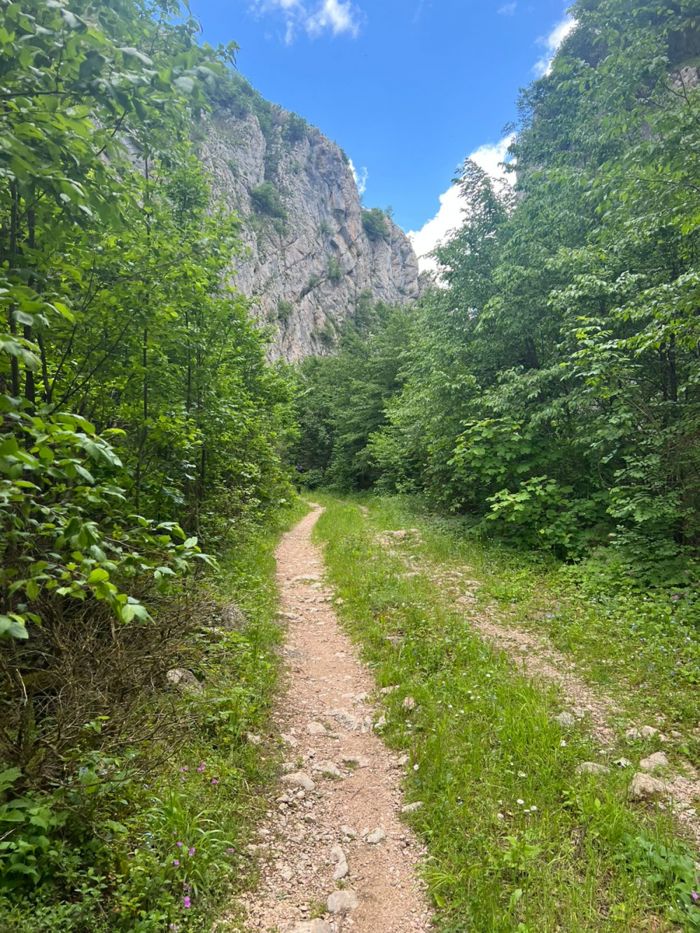 Kanioni i Llëngës